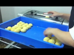 CG-38 torréfacteur électrique